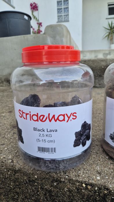 Rocha de aquario  Strideways