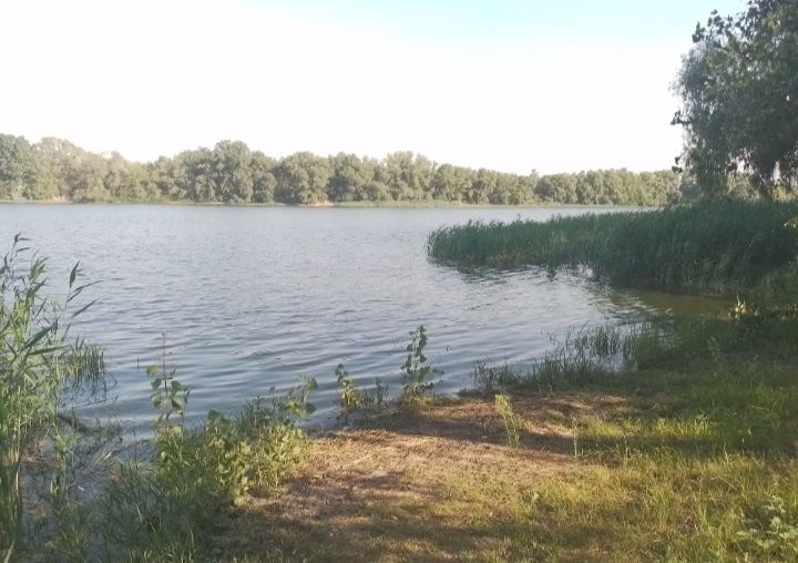 Продам дачу бiля води за Власiвкою,за "Королiвським смаком",дорога Кременчук -Свiтловодськ