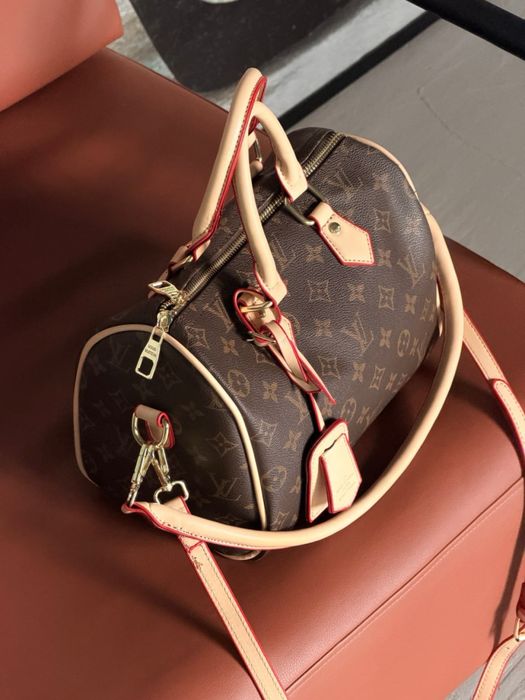 Сумка Louis Vuitton Speedy 25