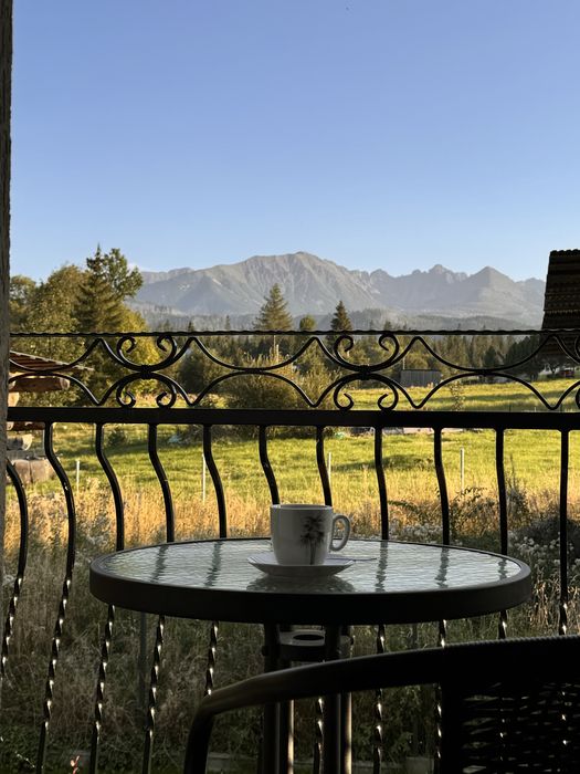 Domek Przy Potoku Murzasichle, domek w górach