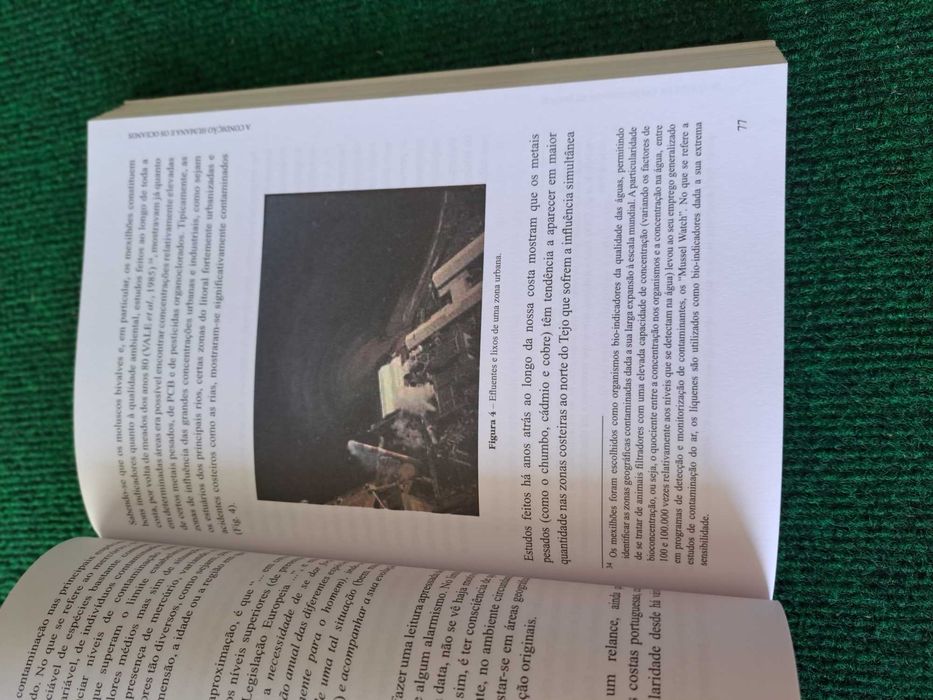 A Condição Humana e os Oceanos - Marcelo de Sousa Vasconcelos