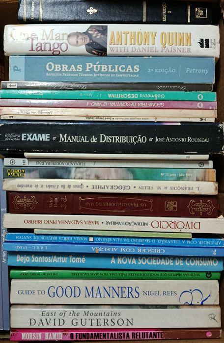 Lote  de  Diversos  LIVROS  Usados ( 1 ) Velharias