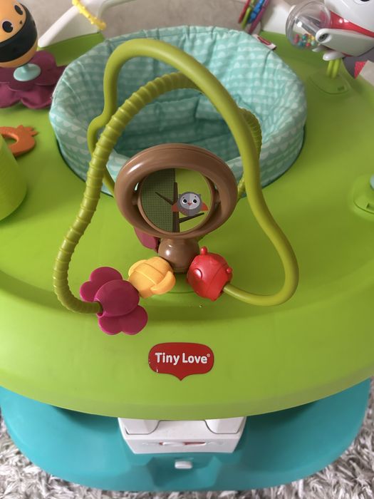 Ходунки-стрибунки, розвиваючий центр 4 в 1 tiny love весела галявина