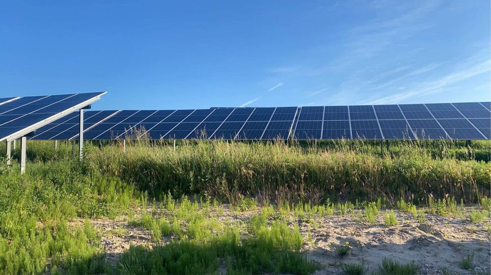 Pielegnacja zieleni i ogrodnictwo