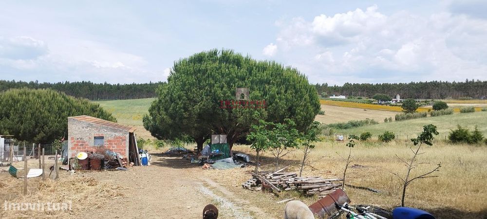 Terreno Rústico Urbanizável, A Dos Cunhados, Torres Vedras — A Dos Cunhados E Maceira, Lisboa
