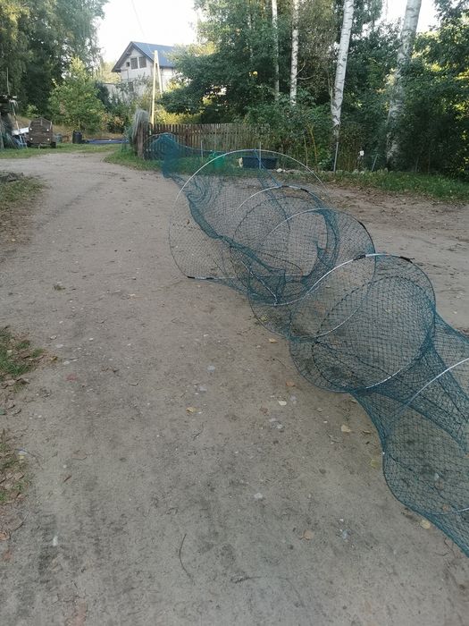 Żak mieroż dwu koszowy