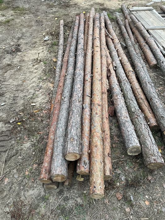 Stemple budowlane Skrajniwa • OLX.pl