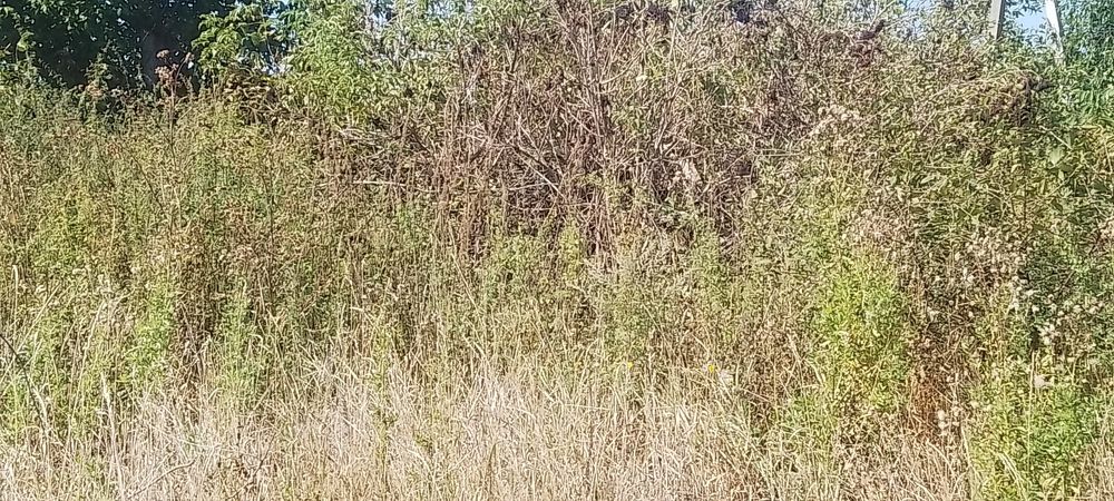 Продам земельну ділянку Глибочиця.