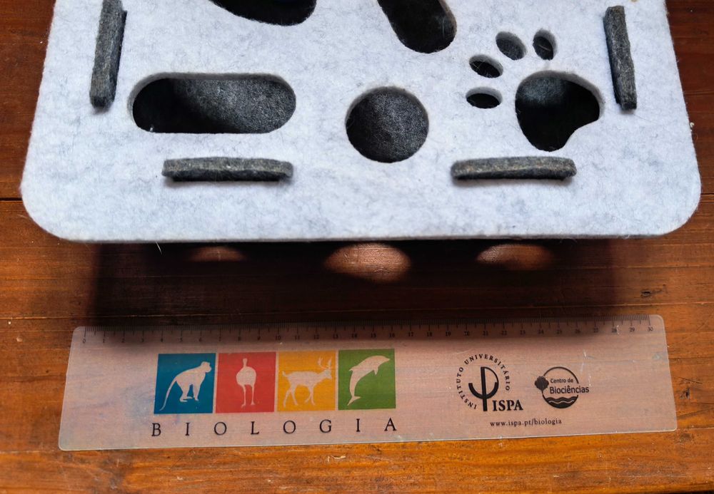 Brinquedo para Gato