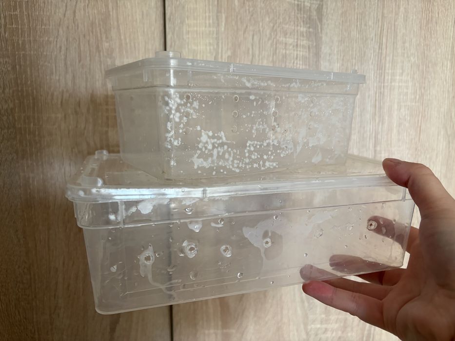 Boxy terrarystyczne