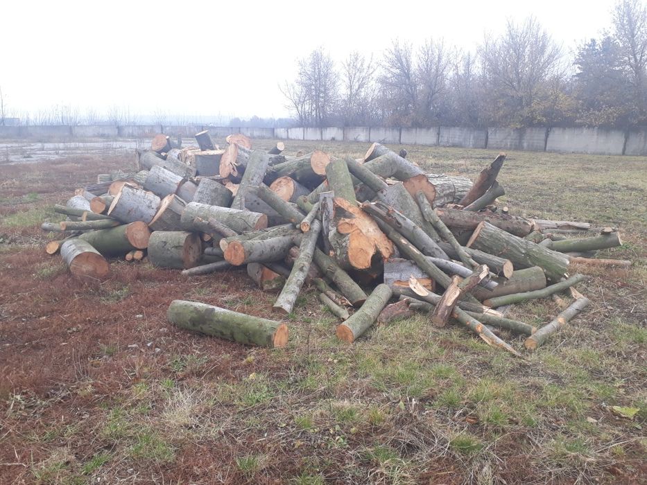 Дрова колені,колоті,рубані,метровки-бук,граб,доставка