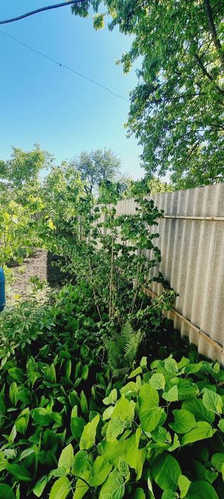 D1L Продам отличный дом 140 м2 для большой семьи, ул. Дарьяльская