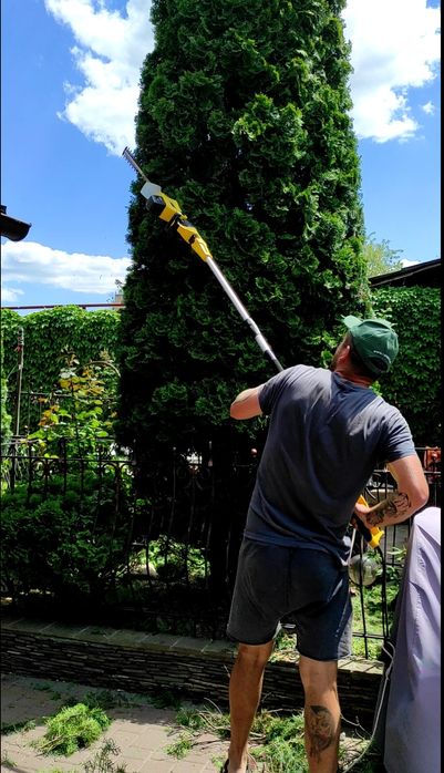 Обработка растений. Автоматический полив. Рулонный газон. Садовник.