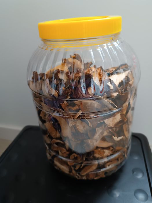 Podgrzybek suszony – 100g