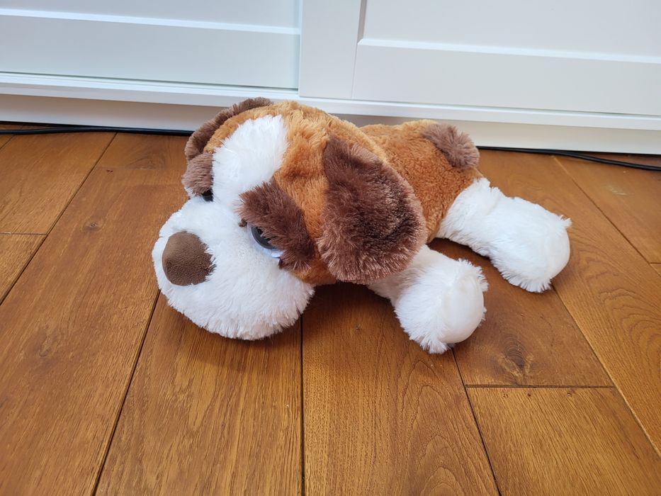 duży, leżący piesek bernardyn, pluszak, maskotka Pepco dł.50 cm