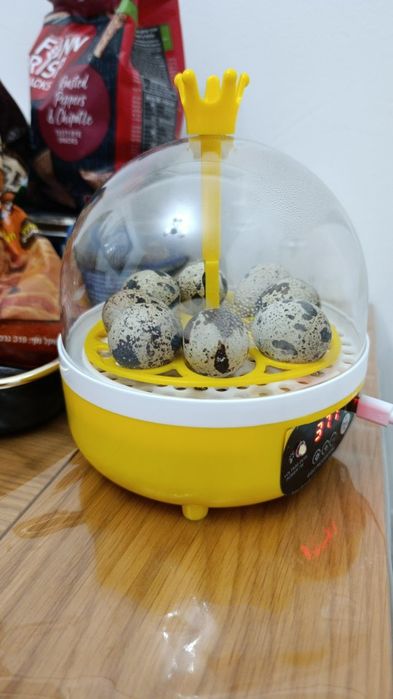 Инкубатор для яиц інкубатор для яєць автоматичний