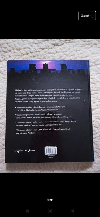 Księga tajemnic Irene Bellini