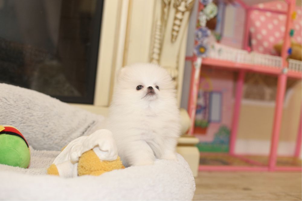 Малючок маленький хлопчик