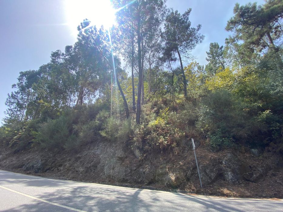 4 Lotes de terreno rusticos 2 com possibilidade construcao