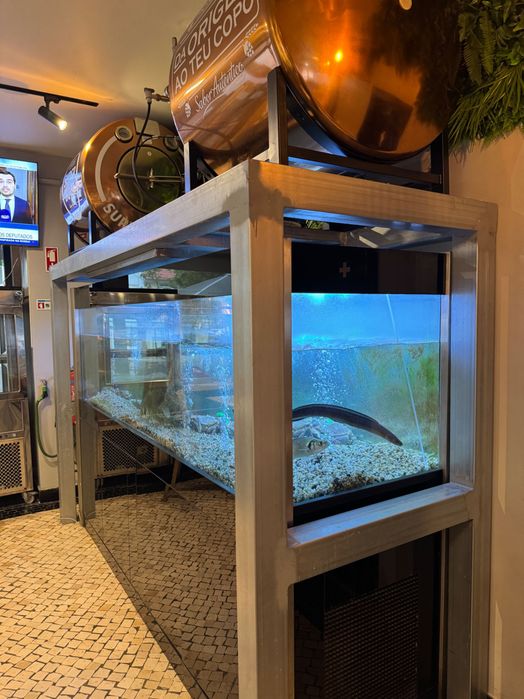 Aquário marisco água salgada