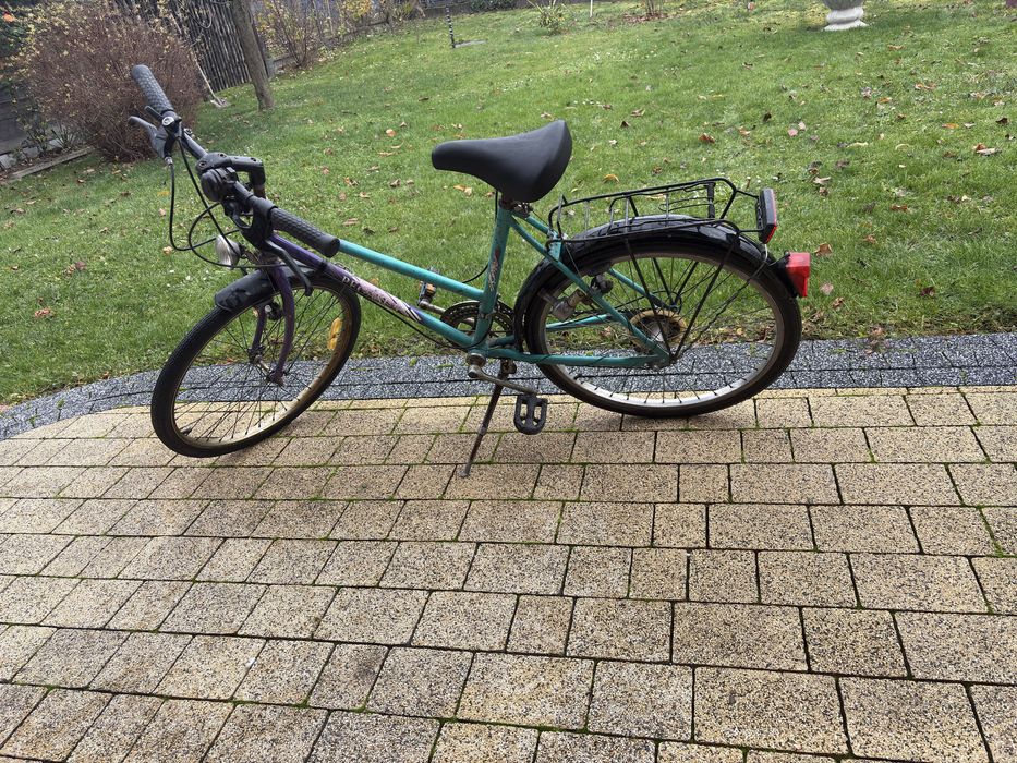 Rower Marki Pegasus, używany