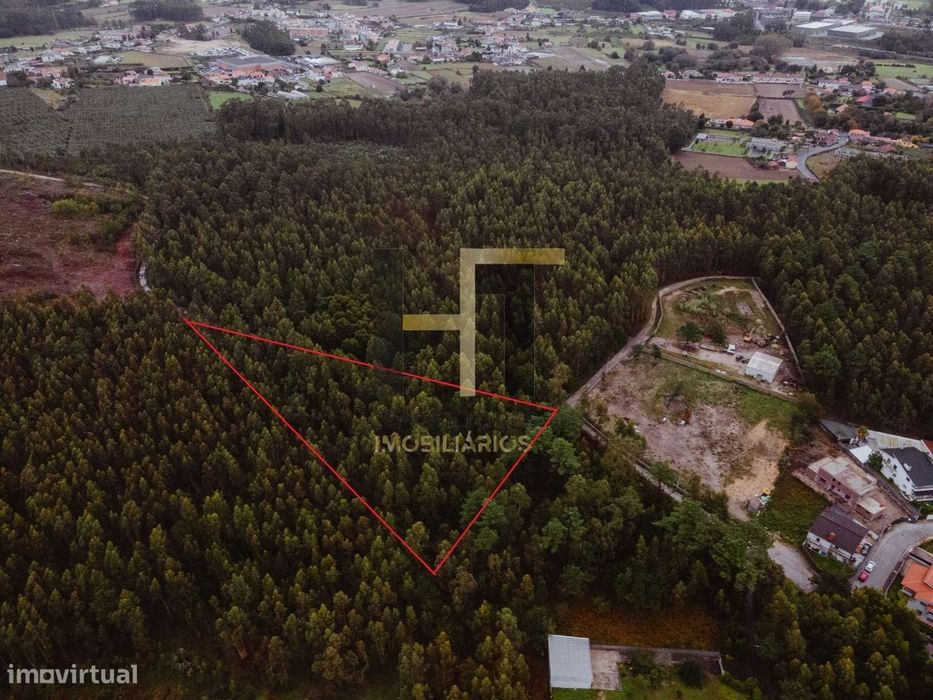 Terreno Rústico | 4.250m² em Gemunde | Oportunidade Única de Invest