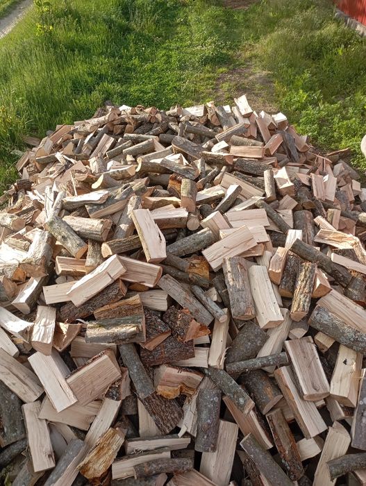 Продам дрова всі породи