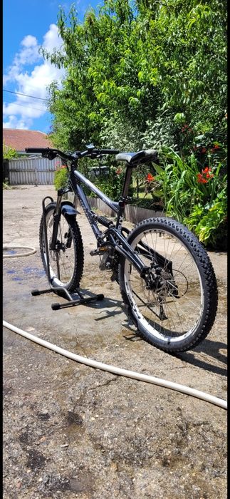 Vendo Saracen raw 2