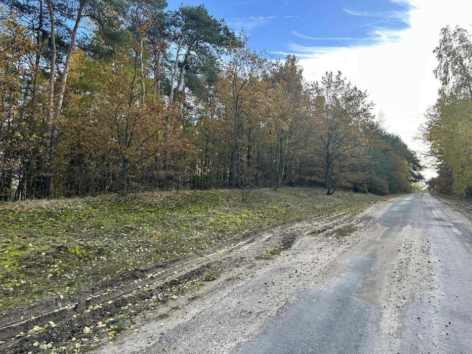 Działka na sprzedaż 4800 m 2 budowlana miejscowość Pałczew Gmina Brójce