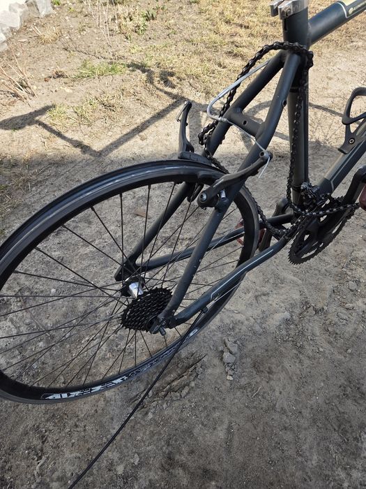 Rower Kross Trans India