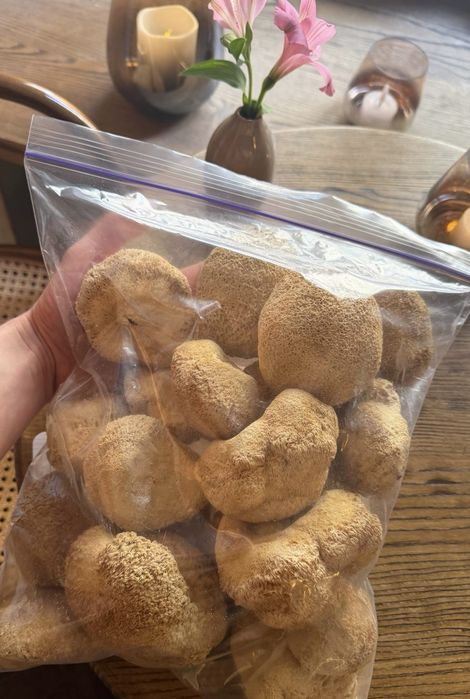 Їжовик посиленної дії. Lions mane ежевик
