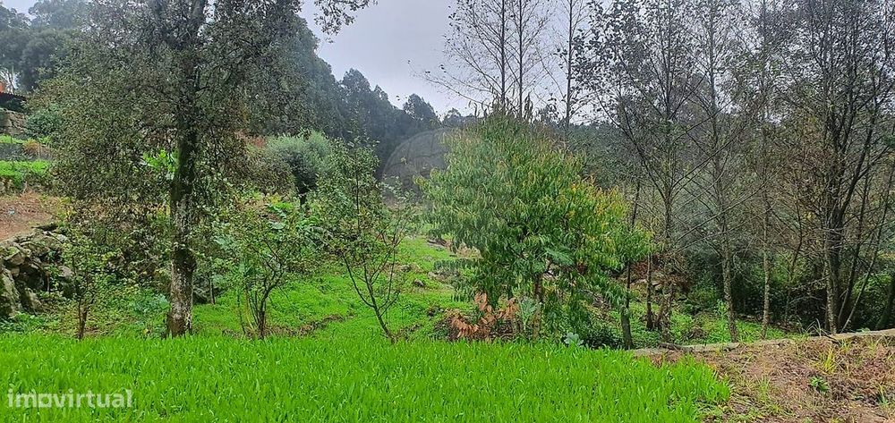 Terreno  para venda