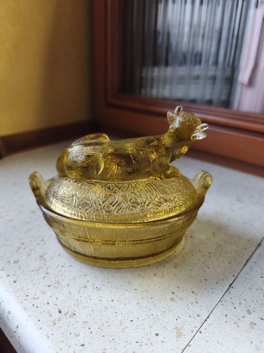 Krowa maselnica HSG Ząbkowice