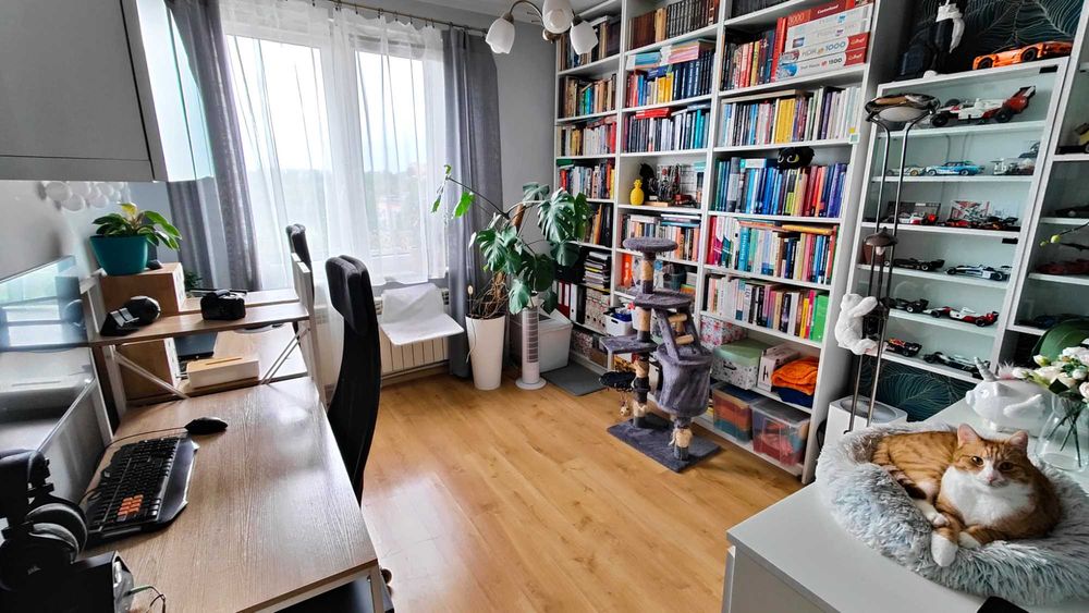 3-pokojowe mieszkanie 58 m² | Centrum Bytomia | bez pośredników