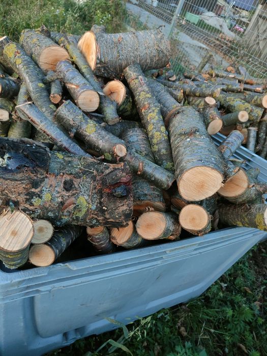 Sprzedam drzewo suche i mokre