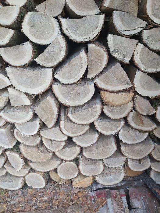 Drewno kominkowe Dąb . DOWÓZ GRATIS!!!