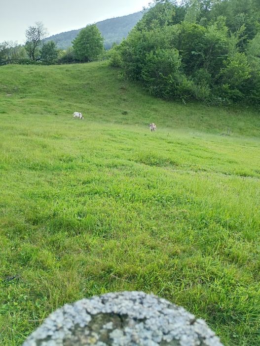 Продам земельну ділянку