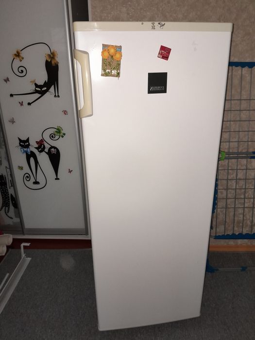 Морозильная камера Zanussi 380985582591