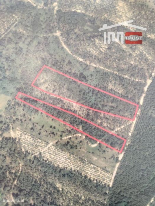 Terreno de produção Florestal — Matas E Cercal, Santarém