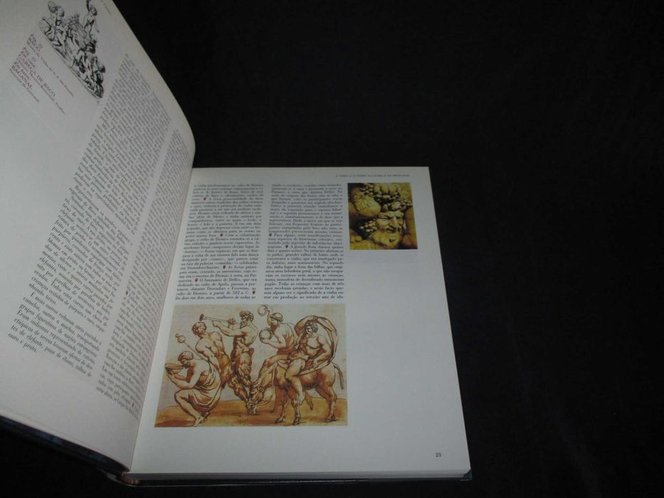O Grande Livro do Vinho J. Duarte Amaral Círculo de Leitores 1ª edição