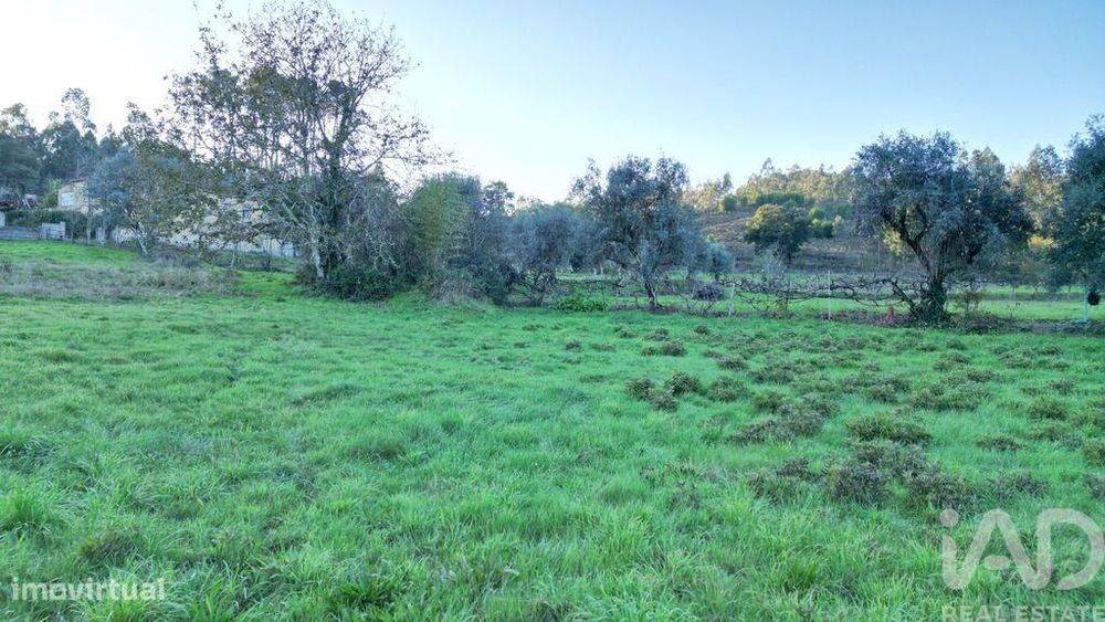 Terreno para construção em Semide e Rio Vide