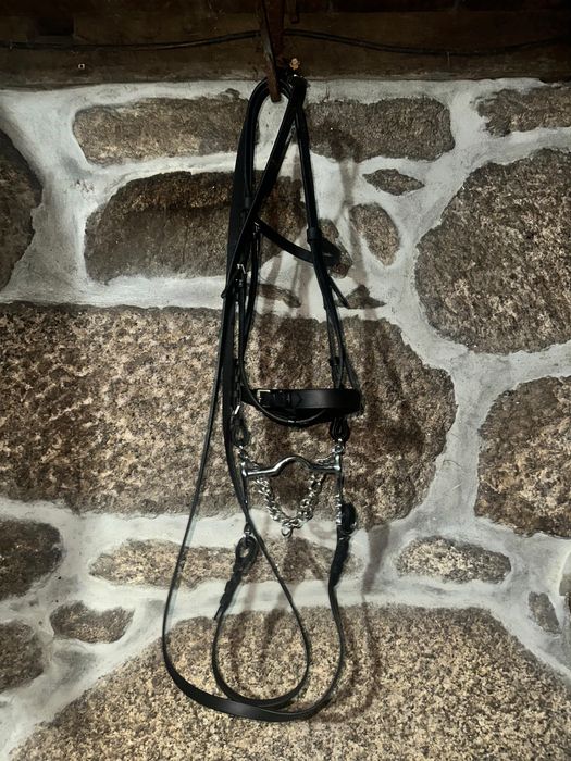 Arreios para cavalos