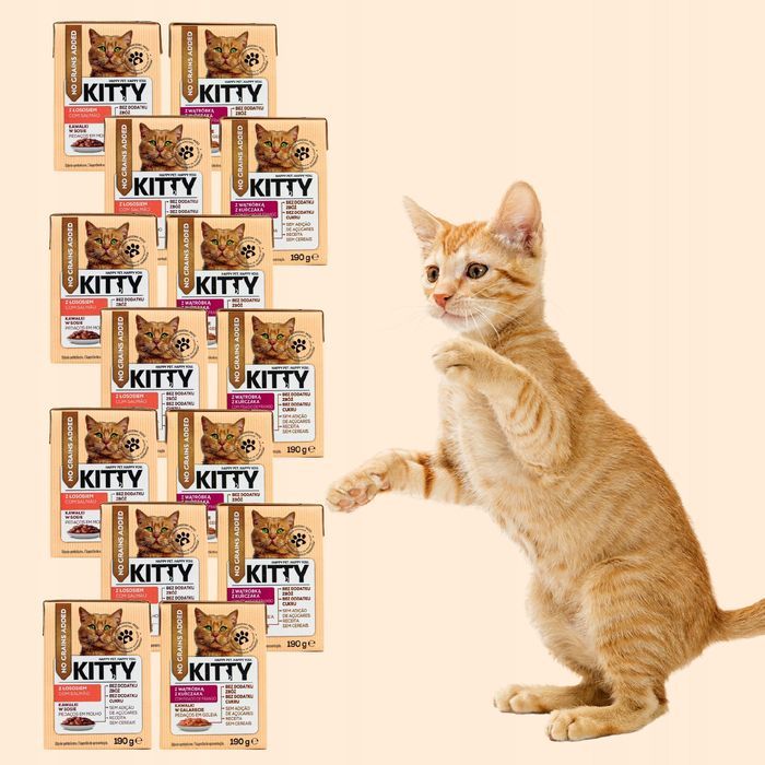 14 X 190G Karma Mokra Dla Kotów Kitty Mix Smaków Bez Zbóż 2,66 Kg