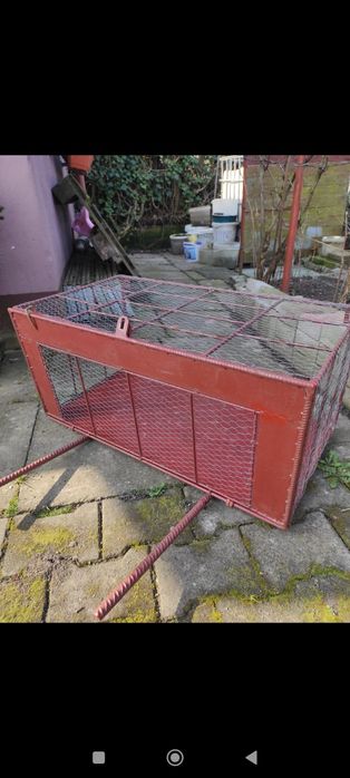 Klapa Wylot dla gołębi