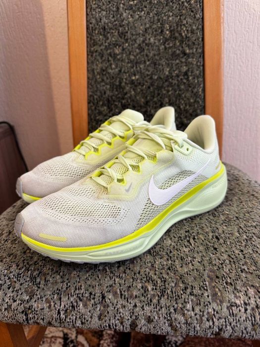 Nike Pegasus 41