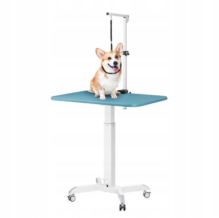 Wysięgnik do stołu groomerskiego