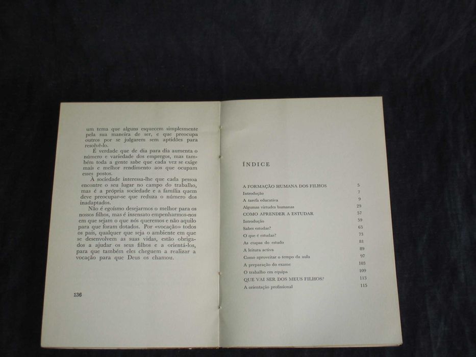 Livro Filhos Estudo e Profissão A. Najera G. CAstilho J. L. Garay