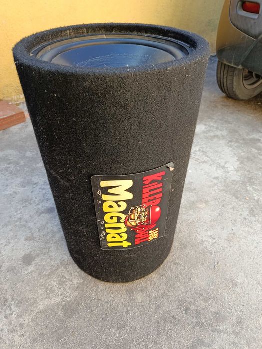 Coluna Subwoofer magnat 300w e amplificador