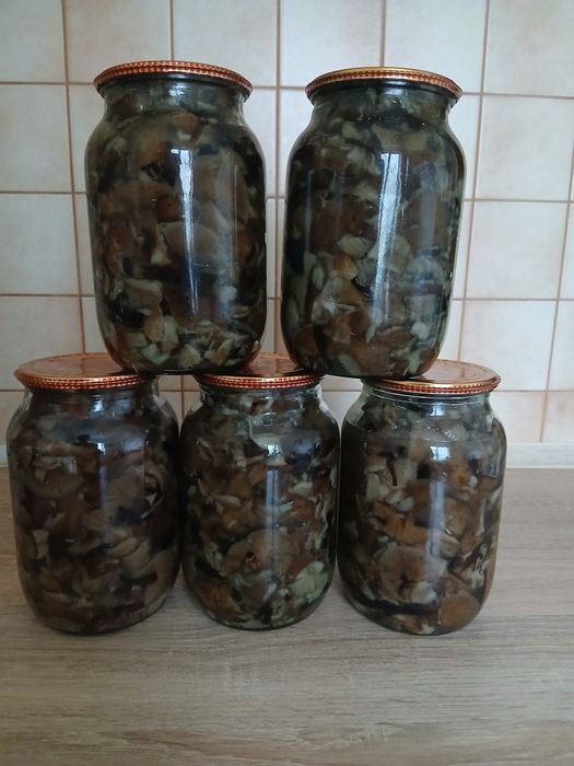Опеньки і білі мариновані.