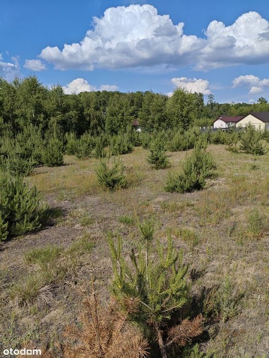Działka budowlano- rekreacyjna Malanów powiat pabianicki - Widok 4